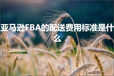 跨境电商知识:亚马逊FBA的配送费用标准是什么